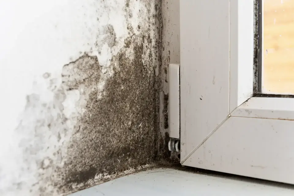 Restoring Your Peace Of Mind After Unexpected Flooding — King of Prussia, PA